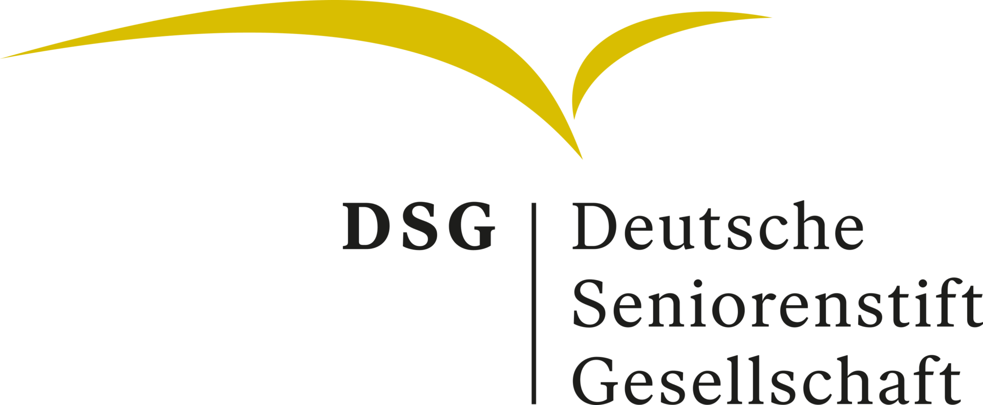 DSG_Logo_schwarz_RGB_2505 DSG_Logo_schwarz_RGB_2505